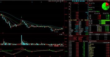 金股預測晚間版 計算機軟件開發板塊走強，印紀傳媒等3股后市上漲概率超75%